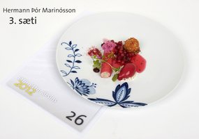 diskur 26.jpg