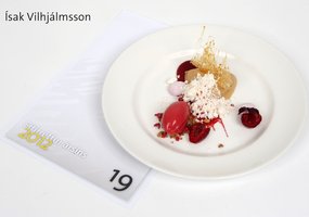 diskur 19.jpg