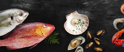 ad1 nordicseafood
